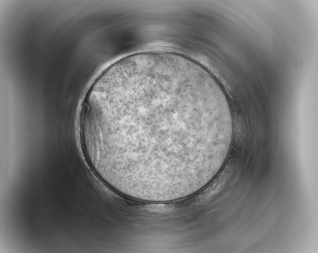 X0000093501478200711021001