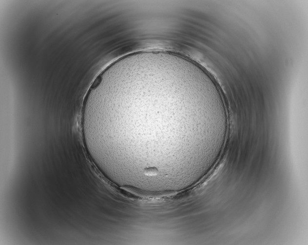 X0000093501481200711021001