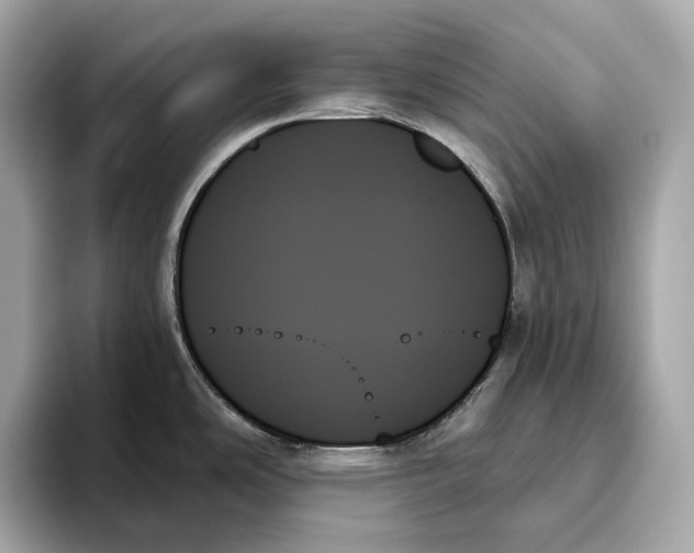X0000093501486200711021001