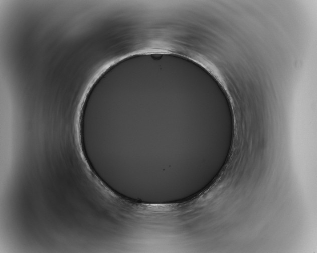 X0000093501488200711021001