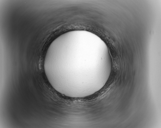 X0000093501490200711021000