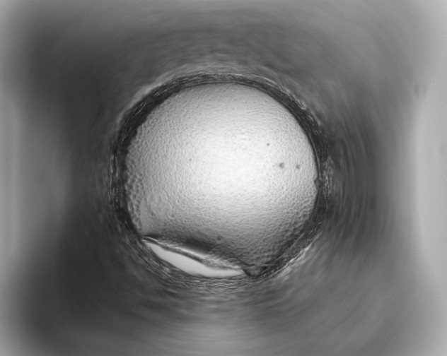 X0000093501494200711021000