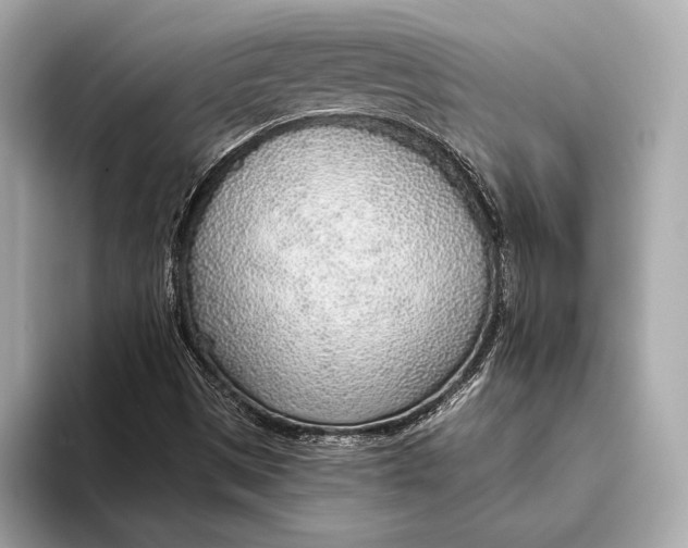 X0000093501497200711021000