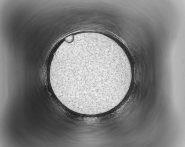 X0000093501498200711021000