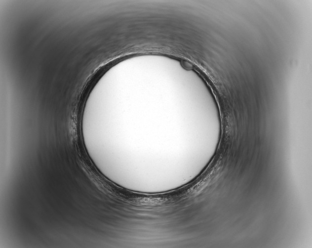 X0000093501499200711021000
