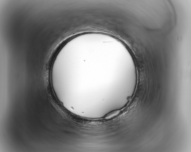 X0000093501503200711021000
