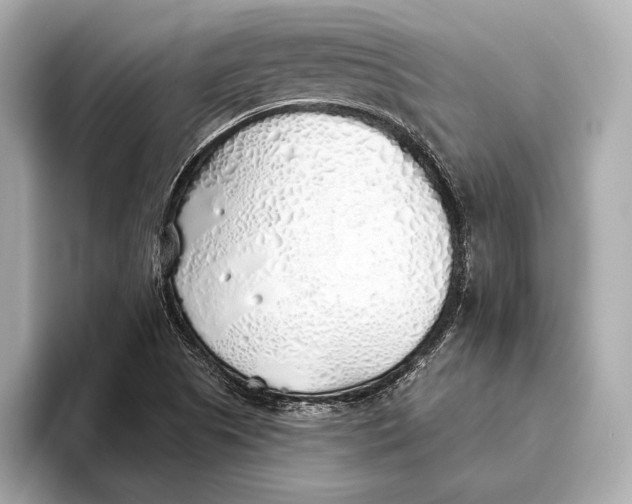 X0000093501505200711021000