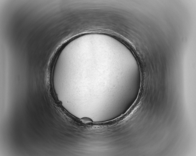 X0000093501506200711021000