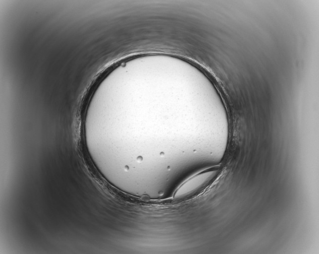 X0000093501507200711021000