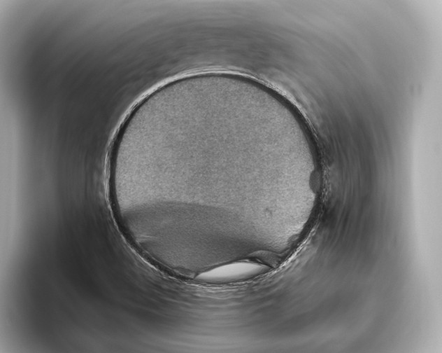 X0000093501508200711021000