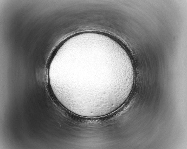 X0000093501509200711021000