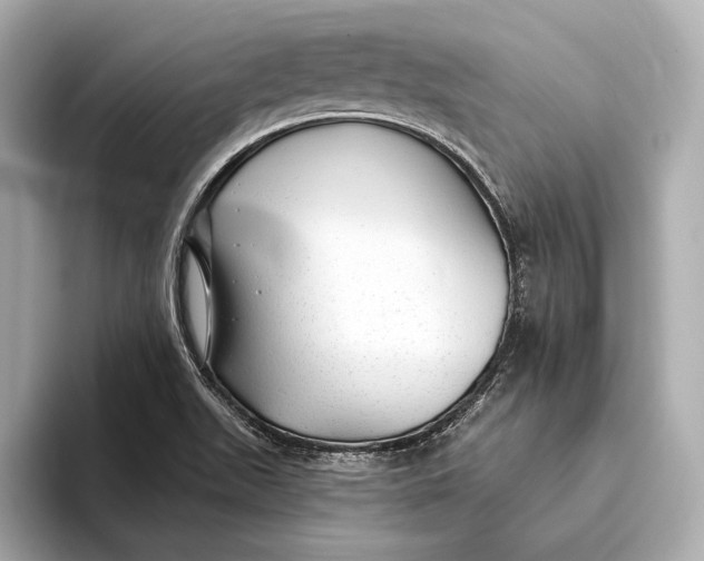 X0000093501511200711021000