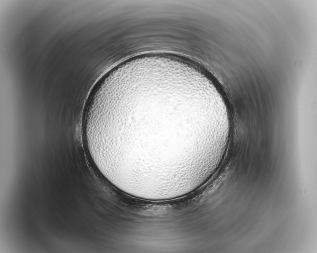 X0000093501513200711021000