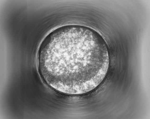 X0000093501515200711021000