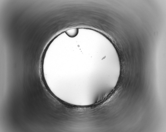 X0000093501518200711021000