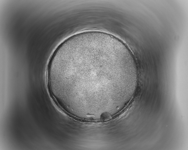 X0000093501519200711021000