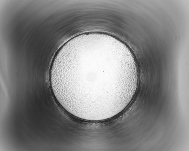 X0000093501521200711021000