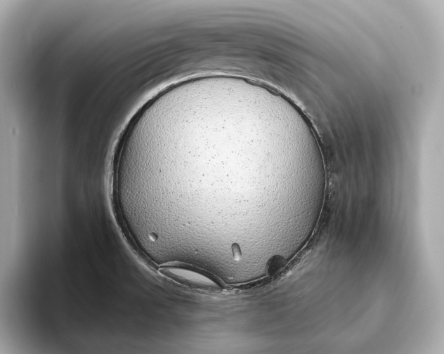 X0000093501523200711021000