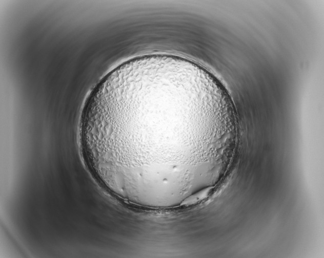 X0000093501525200711021000