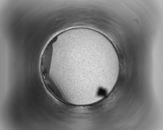 X0000093501527200711021000