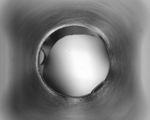 X0000093501528200711021000