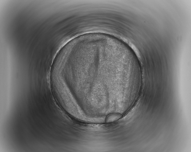 X0000093501529200711021000