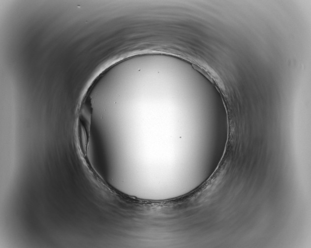 X0000093501530200711021000