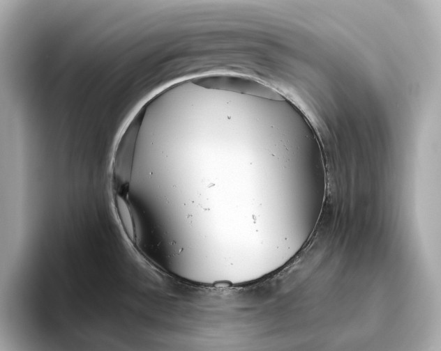 X0000093501532200711021000