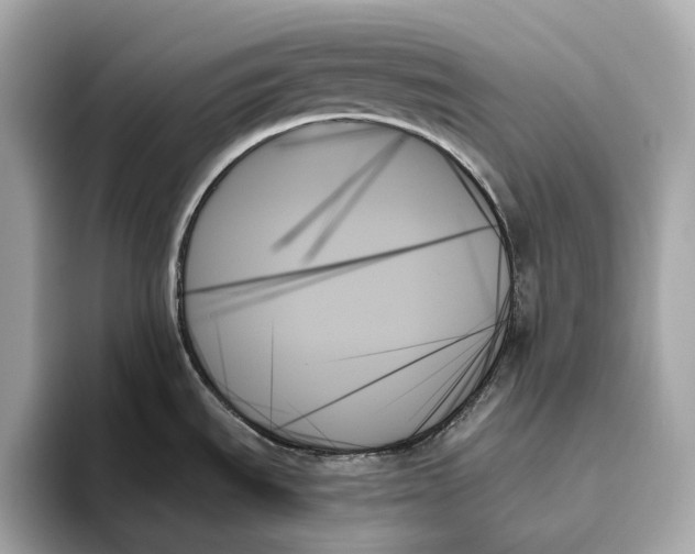 X0000093501535200711021001