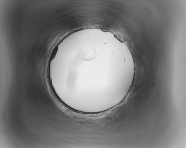 X0000093500001200711091711