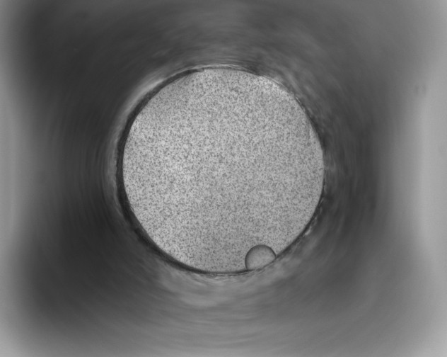 X0000093500006200711091711