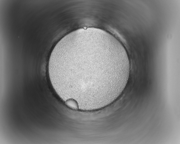 X0000093500010200711091711