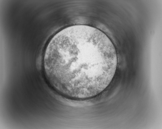 X0000093500012200711091711