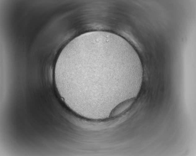 X0000093500014200711091711