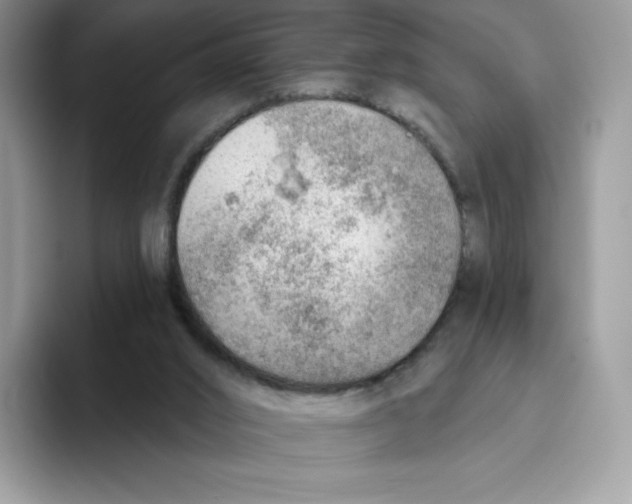 X0000093500016200711091711