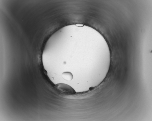 X0000093500017200711091711