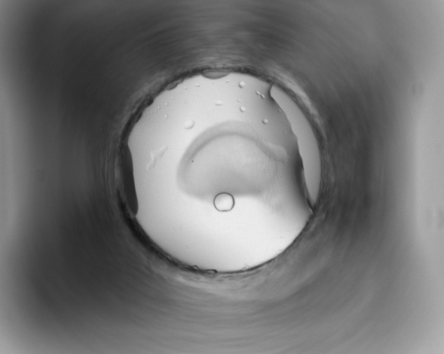 X0000093500019200711091711