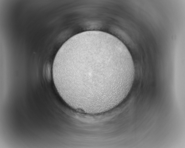 X0000093500022200711091711