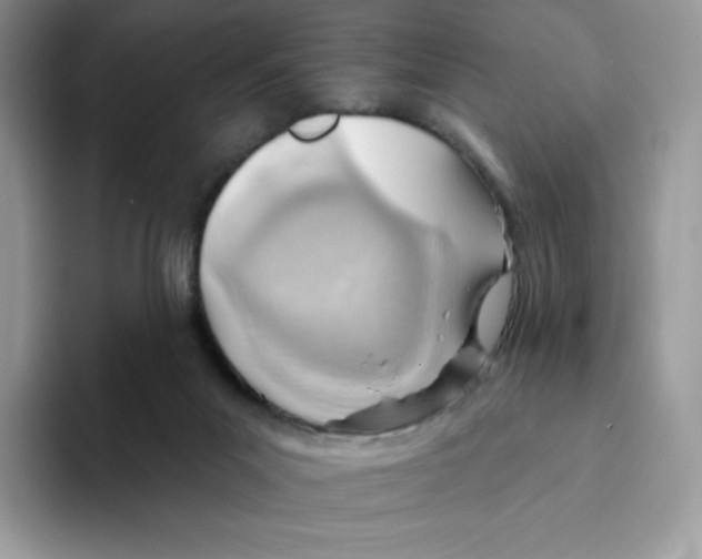 X0000093500023200711091711