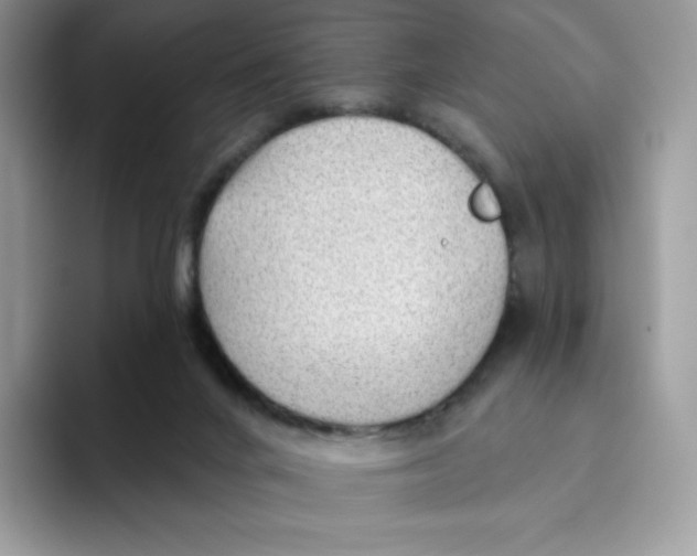 X0000093500024200711091711