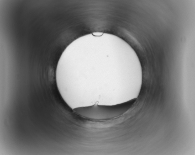 X0000093500025200711091711