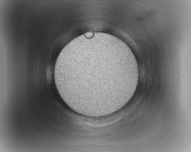 X0000093500026200711091711