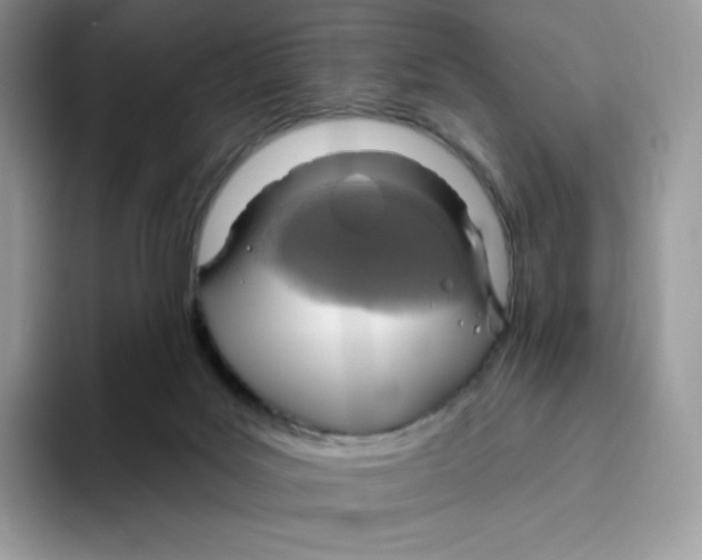 X0000093500027200711091711