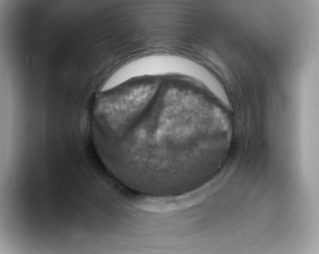 X0000093500029200711091711