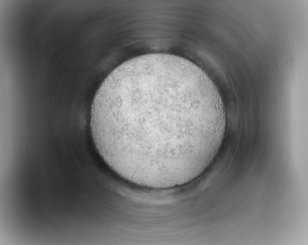 X0000093500032200711091711