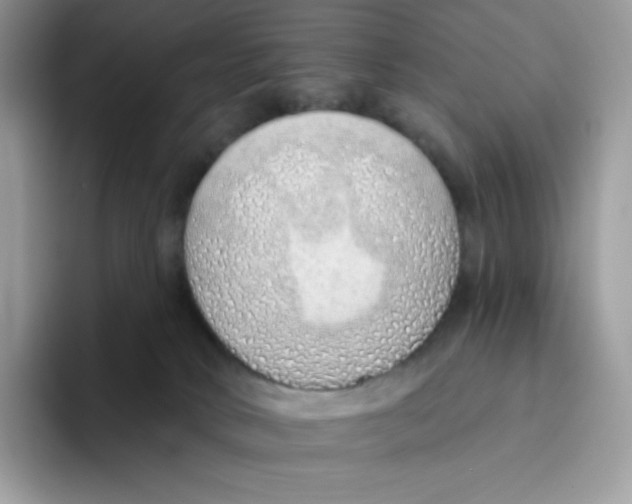 X0000093500034200711091711