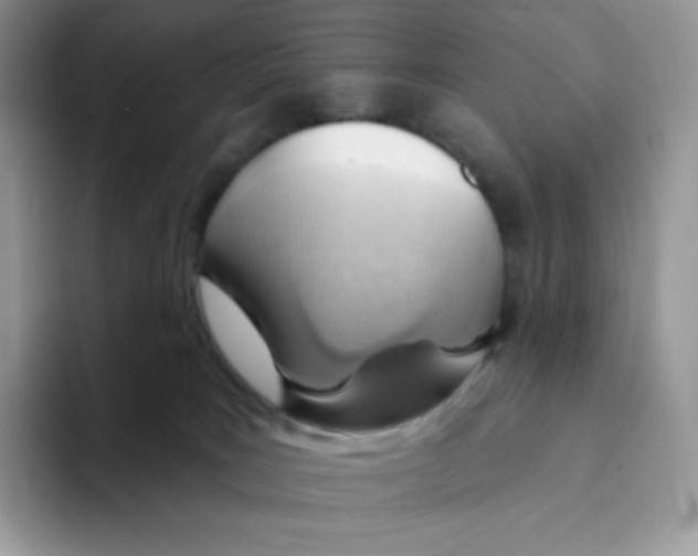 X0000093500035200711091711