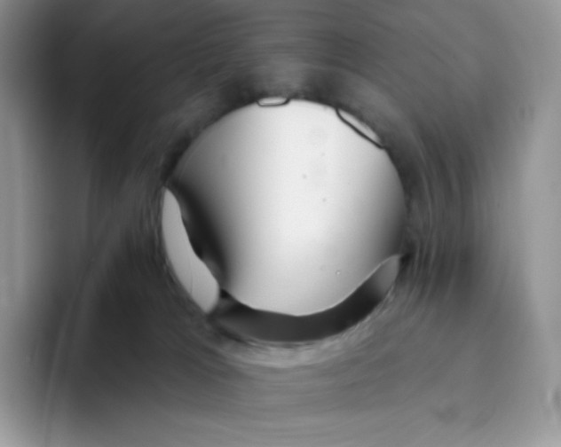 X0000093500037200711091711