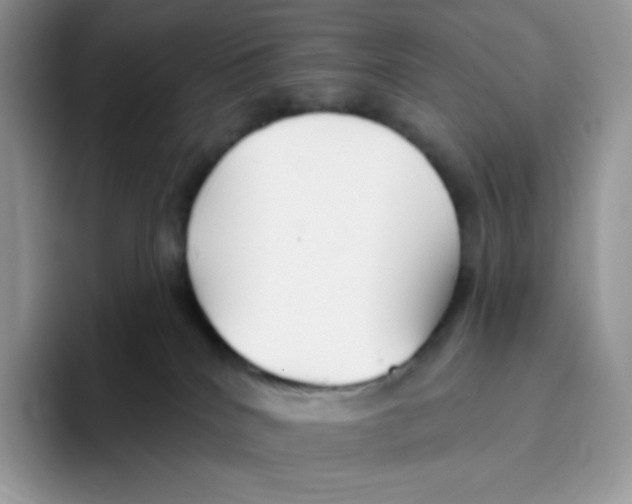 X0000093500040200711091711