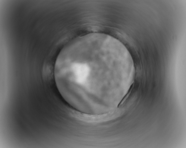 X0000093500043200711091711